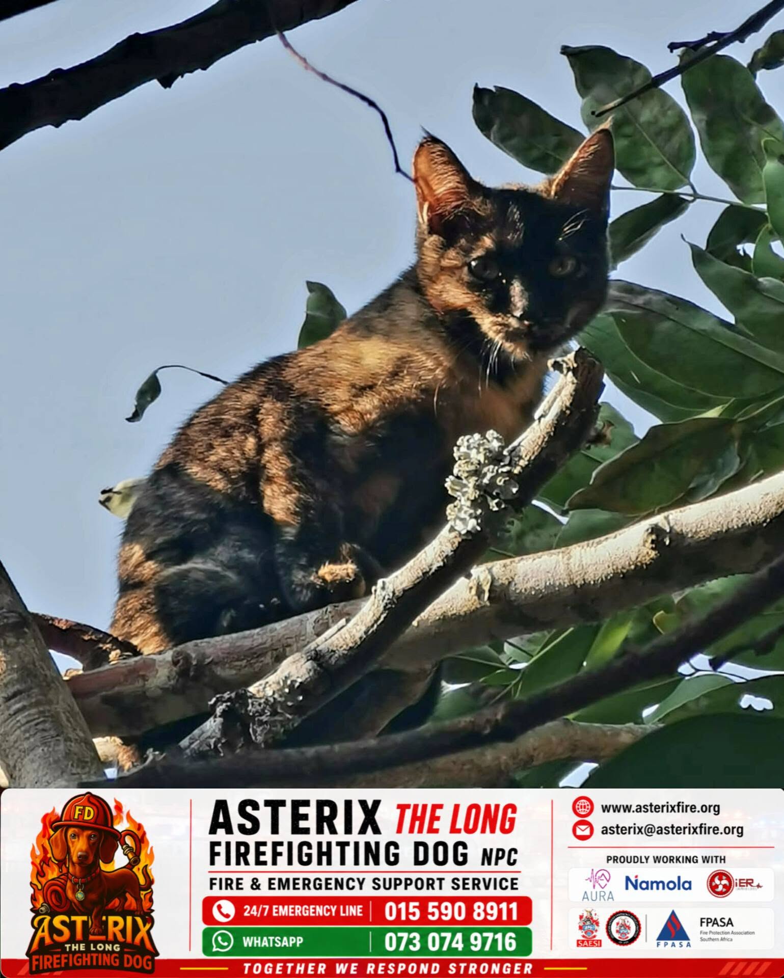 call asterix